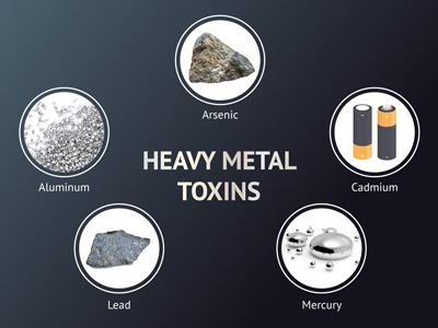 Effect of Toxic Metals on Human Health